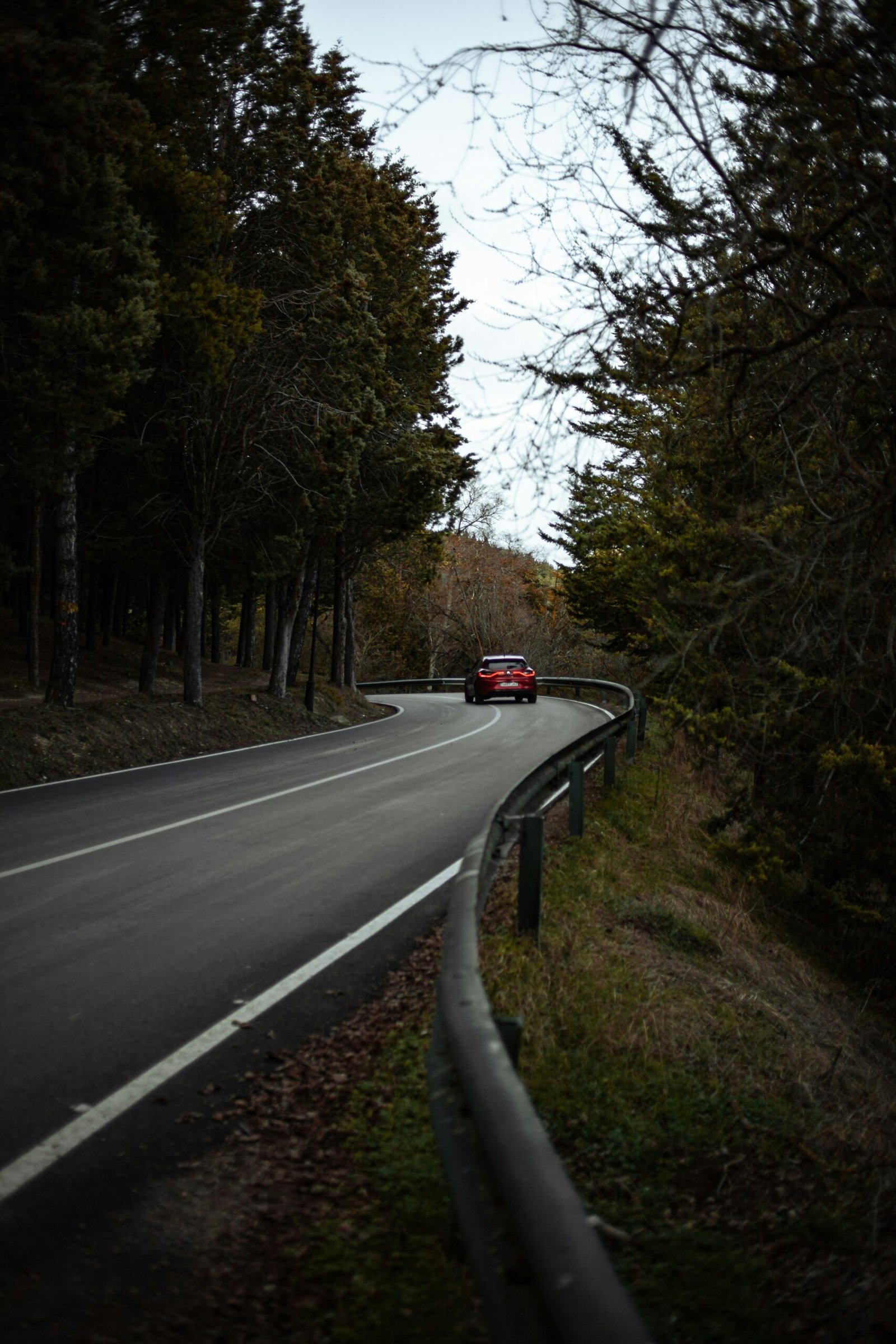 Unforgettable Road Trips Across the USA