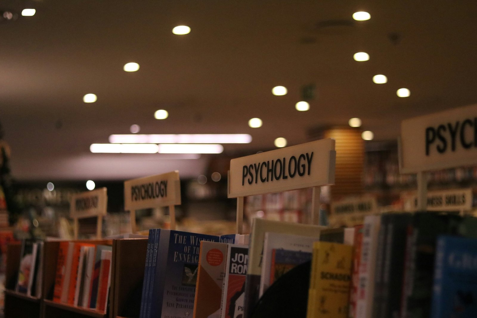 The Popularity of Self-Help Books: Insights and Criticisms